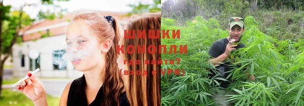 гидропоника Богородск