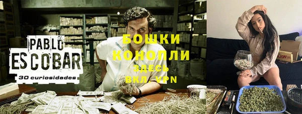 гидропоника Богородск