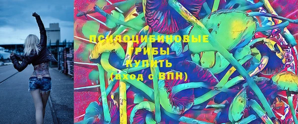 а пвп мука Богданович